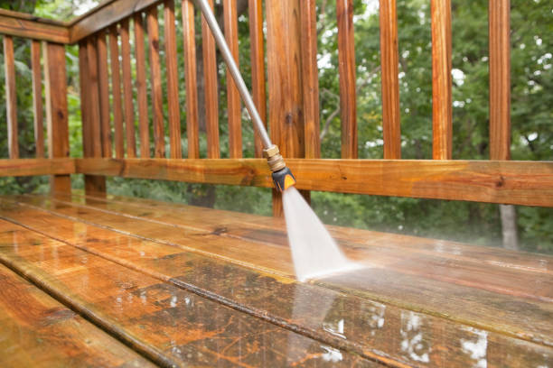 Best Pressure Washing Driveway  in Hillview, KY